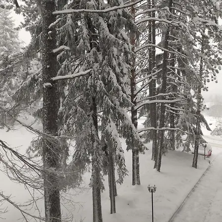 Апартаменты 23 Titova Palisat