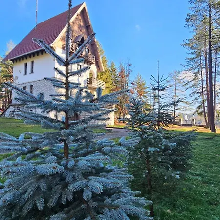 23 Titova Апартаменты *