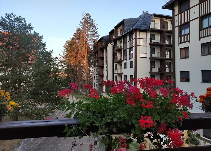 23 Titova アパート Palisat