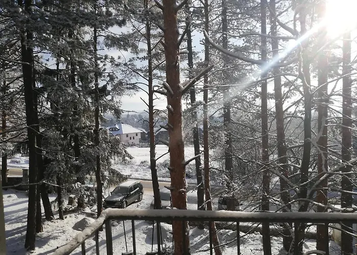 23 Titova アパート Palisat