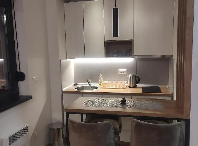 23 Titova アパート Palisat