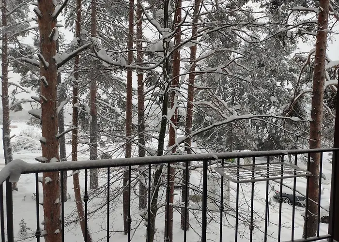 23 Titova アパート Palisat