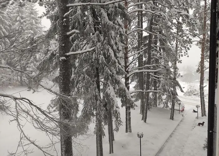 アパート 23 Titova Palisat